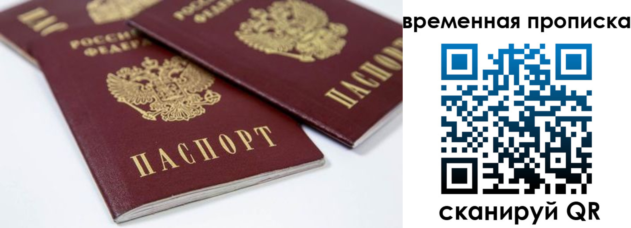 прописка для школы в Гусь-Хрустальном